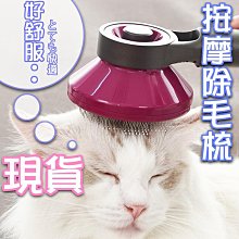 寵物梳子 貓梳子 寵物梳 貓咪梳子 梳毛刷貓咪 貓咪梳毛 貓咪梳毛器 梳毛刷狗狗 梳毛貓毛梳 歷史價格詳細信息