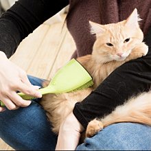 【Michel Mercier】以色列抗糾結專利髮梳－乾濕兩用(2入組) 歷史價格詳細信息