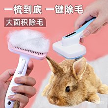 侏儒兔小長不大小型垂耳兔鳳眼寵物寵物一件 歷史價格詳細信息