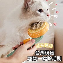 狗毛梳 貓毛梳 梳子 一鍵除毛 -萬能百貨 歷史價格詳細信息