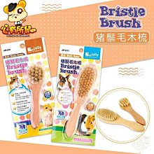 豬鬃毛梳-初心豬鬃毛按摩梳子美發順發梳女頭部經絡梳防靜電氣囊氣墊木梳 歷史價格詳細信息