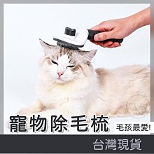 除毛梳  貓毛 貓 毛梳 廢毛梳 梳毛刷 毛 貓梳 毛刷 去毛梳 寵物梳子 貓梳子 寵物梳 貓咪梳子 梳毛刷 歷史價格詳細信息