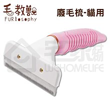 廢宅少女的追星日常：抱歉了錢錢，我的愛豆那麼好看，不買不行 歷史價格詳細信息