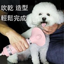 寵物梳子梳毛吹毛梳 吹毛梳 理毛梳 吹風機 寵物清潔  寵物吹風機 歷史價格詳細信息