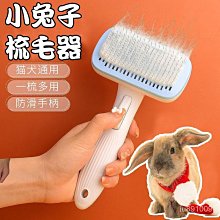 侏儒兔小長不大小型垂耳兔鳳眼寵物寵物一件 歷史價格詳細信息