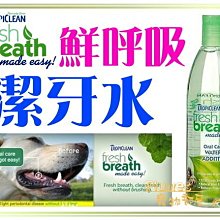 【可超取】美國陶瓷雙連碗+架子 犬貓用碗 寵物碗架 貓碗狗碗 寵物餐桌 歷史價格詳細信息