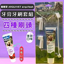 福袋指甲飾品《隨機出貨~不挑款~12格圓盤5入》鉚釘片 乾燥花 珍珠 亮片 金屬片 彩鑽 金屬框 鏈條［羽美甲材料］ 歷史價格詳細信息