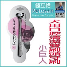 【健身之家】小腹剋星 仰臥起坐輔助器 平板撐輔助器 吸盤式輔助器 運動器材 健身器材 健腹器 瘦肚子【FJ003】 歷史價格詳細信息