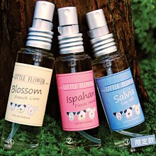 自主 LITTLE AFRICA x EFF 棕色 全封帽 棒球帽 大頭圍 毛呢材質 歷史價格詳細信息