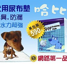 【免運】哈比熊童鞋小童拖鞋e 軟底兒童洞洞鞋男童女童居家拖鞋 歷史價格詳細信息