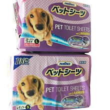 L25-小夜燈-HD 歷史價格詳細信息