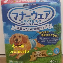 全新日影《狗狗刑事：純白之絆》DVD 市原隼人 戶田惠梨香 村上淳 時任三郎 松重豐 歷史價格詳細信息