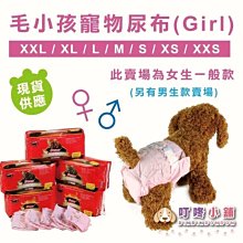 【叮咚小舖】TPR橡膠玩具 發聲玩具 拉扯玩具 寵物玩具 啃咬玩具 狗玩具 啾啾發聲玩具球 橡膠球【H124-6】 歷史價格詳細信息