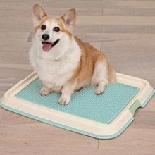 IRIS 平面 Ag+抗菌 狗尿板 狗便盆 狗尿盆 狗廁所 FMT-485（FMT485）上掀式易換 420元 歷史價格詳細信息