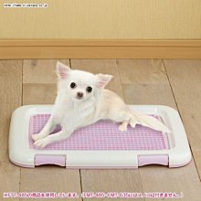 日本IRIS防抓平面狗便盆 L號-青/桃/茶 (FTT-635) 歷史價格詳細信息