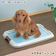 IRIS 平面 Ag+抗菌 狗尿板 狗便盆 狗尿盆 狗廁所 FMT-485（FMT485）上掀式易換 420元 歷史價格詳細信息