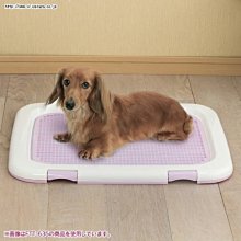 日本IRIS防抓平面狗便盆 L號-青/桃/茶 (FTT-635) 歷史價格詳細信息