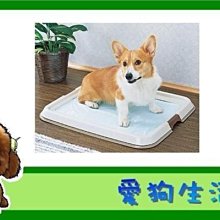 【日本IRIS】FT-650 平面狗便盆-M號 (桃/青/茶) 歷史價格詳細信息