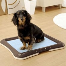 ☆米可多寵物精品☆日本RICHELL卡羅方形貓便盆粉彩固定式貓砂盆 歷史價格詳細信息