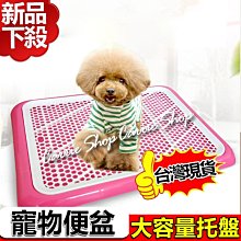 美好家居【F60/70公分折疊美容床限量優惠】現貨* 便攜式美容床/行軍床/推拿床/精油按摩床 歷史價格詳細信息