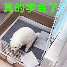 【現貨】正版 美泰 希曼 經典系 骷髏王 紫色骷髏王 7寸 可動人偶 歷史價格詳細信息