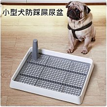 台灣現貨中 寵物玩具 寵物響紙玩具 響紙玩具 發聲玩具 撕咬玩具 耐咬玩具 紓壓玩具 造型玩具 貓狗玩具 互動玩耍 歷史價格詳細信息