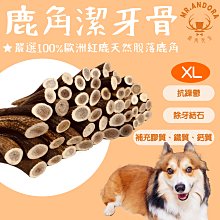 【鹿角先生】保骨基(天然精粹鹿角粉) 35g/罐 SGS檢驗 富含豐富鈣質、膠質 補鈣、強健腎臟、亮麗毛髮、消除口臭 歷史價格詳細信息