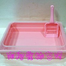 【阿肥寵物生活】AFP 犬用玩具 經典系列--小刺猬 / 幸福松鼠 / 路殺狐狸 歷史價格詳細信息