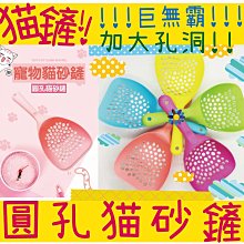 BBUY Nutram 紐頓 全貓 無穀 貓飼料 T24 鮭魚+鱒魚 5.4KG 歷史價格詳細信息