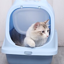 【億品會】兔子便盆 兔子廁所 小動物廁所 天竺鼠廁所 厚邊便盆 四角便盆 方形便盆 兔便盆 兔廁所 可固定 高檔板防噴尿 歷史價格詳細信息