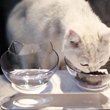 貓碗陶瓷貓盆雙碗狗碗寵物貓咪貓糧碗狗狗盆喝水防打翻貓水碗-我們這一家 歷史價格詳細信息