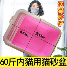 網紅60釐米大號依甜巴比洋娃娃禮盒套組芭公主婚紗玩具女孩玩偶禮 歷史價格詳細信息