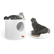 【貓尾巴】米諾諾 膠黏滾筒補充包  60週卷 3入/包  Ø38*W80mm下標區 歷史價格詳細信息