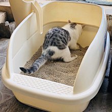 貓砂盆70cm超大號60斤50斤緬因貓特大加大巨貓半封閉英短藍貓專用~清倉價 歷史價格詳細信息