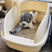 貓砂盆特大號全半封閉式塑料貓砂盆貓廁所防幼貓屎盆貓咪用品大全 歷史價格詳細信息