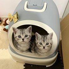 全封閉精密直線滾珠絲杆滑臺十字直線滑臺模組導軌點膠機焊機設備 歷史價格詳細信息