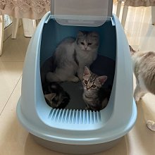 貓砂盆全封閉式隔臭特大超大號抽屜式防帶砂外濺智能貓咪廁所屎盆`特價 歷史價格詳細信息
