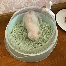 網紅貓砂盆超大號防外濺貓廁所幼貓浴缸貓砂盆開放式特大號貓砂盆 歷史價格詳細信息