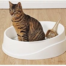 COCO《超取免運》鱉蛋爆毛養膚粉 (皮毛保健)180g犬貓鱉蛋粉 皮膚保健BLUE BAY 歷史價格詳細信息