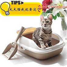 貓砂盆小貓幼貓小號奶貓幼崽專用半封閉開放式大容量貓沙盆貓廁所 歷史價格詳細信息