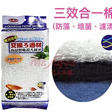 ［水族最便宜］水族先生陶瓷環 石英陶瓷環 MR.多孔性生化培菌石英環 直徑約18mm- 多孔性生化培菌石英環3L袋裝 歷史價格詳細信息