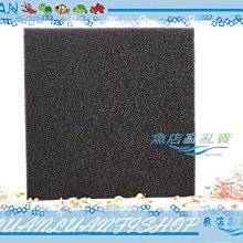 【魚店亂亂賣】生化培菌球/大顆4.2cm生化球一包100顆(類dupla)培菌效果佳LUANFISHOP高級 歷史價格詳細信息