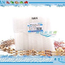 【雙11當日滿額禮】滿5000元贈 MODE｜萌娘姐妹兩入組 單筆訂單最多一組 歷史價格詳細信息