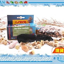 【魚店亂亂賣】Sera活餌黏貼飼料24錠(鉤蝦增量版)淡水.海水觀賞魚S0420-1德國喜瑞Nature 歷史價格詳細信息