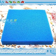 【魚店亂亂賣】ISTA特級活性碳180g *3入(活性炭)除臭.去毒.淨化水質台灣伊士達I-271 歷史價格詳細信息