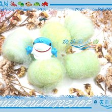 【魚店亂亂賣】Sera活餌黏貼飼料24錠(鉤蝦增量版)淡水.海水觀賞魚S0420-1德國喜瑞Nature 歷史價格詳細信息