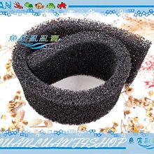 多台店面福利品出清???? iPhone 13mini 128G藍色 ????????螢幕5.4吋小巧可愛 歷史價格詳細信息