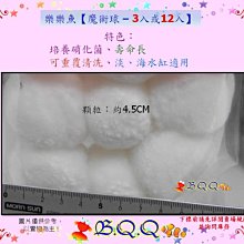 [B.Q.Q小舖]FishLive-樂樂魚【魔術球 12入】 價格比較,價格查詢,歷史價格詳細信息