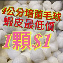 ［水族最便宜］培菌球 過濾球 秒吸水超強圓球多孔濾材 大顆粒27mm單顆散裝 歷史價格詳細信息