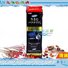 日本GEX 五味 培菌棉 生化珠 過濾器過濾版 3入裝 歷史價格詳細信息